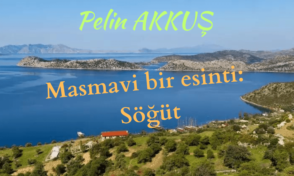 Masmavi bir esinti: Söğüt