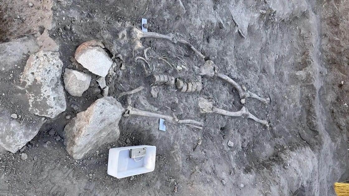 Kazılarda iskelet sürprizi… Tarihe ışık tutacak: Son Troyalılar