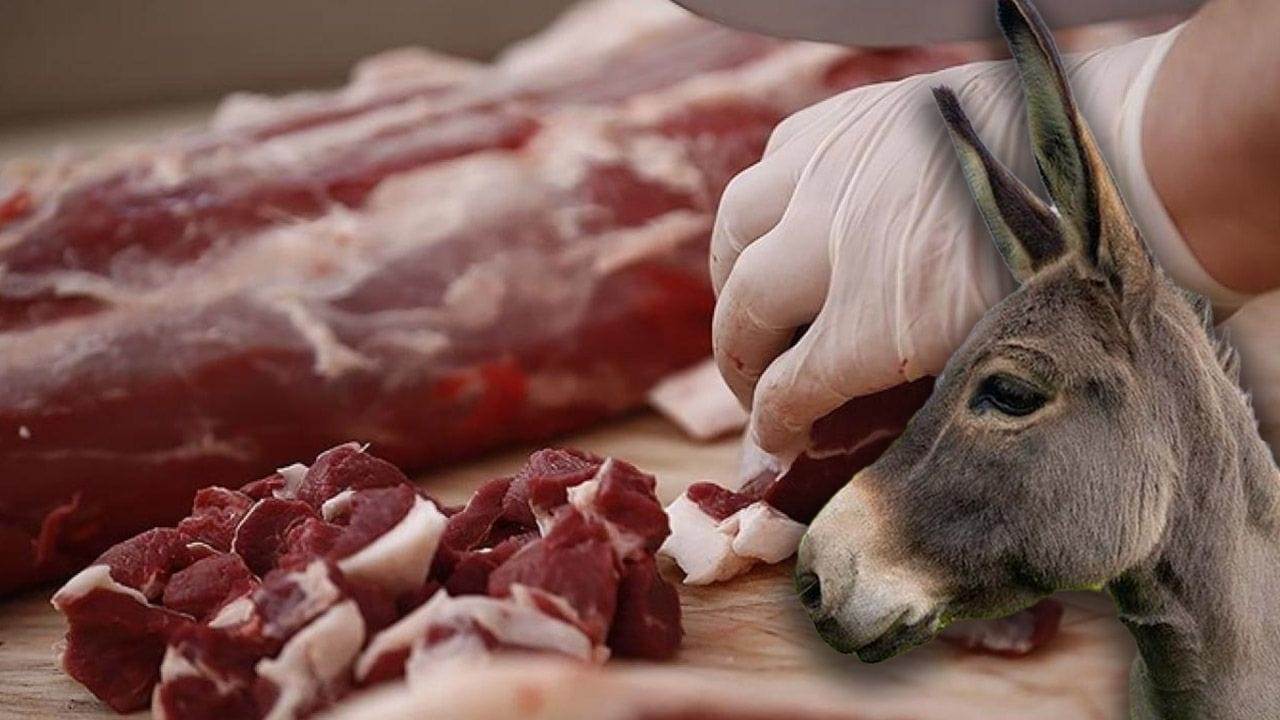 Vatandaşa Lahmacun Yerine At ve Eşek Eti Yedirmişler