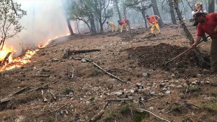 ANTALYA, KUMLUCA’DA ORMAN YANGINI: HAVADAN VE KARADAN MÜDAHALE SÜRÜYOR