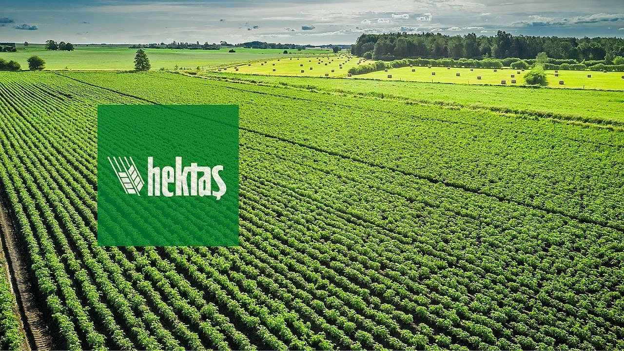 HEKTAŞ TİCARET A.Ş. 2024 YILI 9 AYLIK FİNANSALLARINI AÇIKLADI