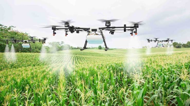 AGROTECH YÖNETİM KURULU BAŞKANI HÜMEYRA KESKİN’DEN CAPITAL’E AÇIKLAMALAR