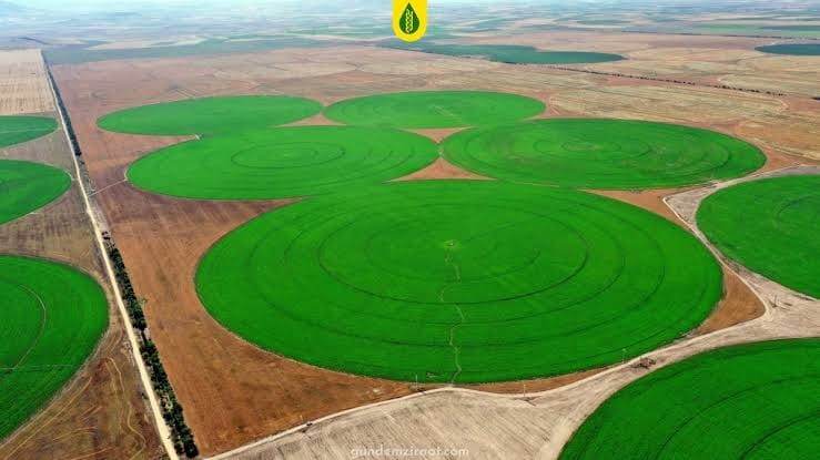 TİGEM 2025’TE 346 BİN TON ÜRETİM REKOLTESİ HEDEFLİYOR