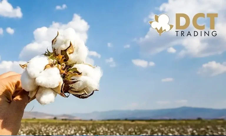 DCT Dış Ticaretten Yeni Açıklama
