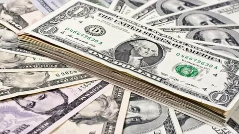 Dolar İlk Defa 36 TL Üstüne Çıktı