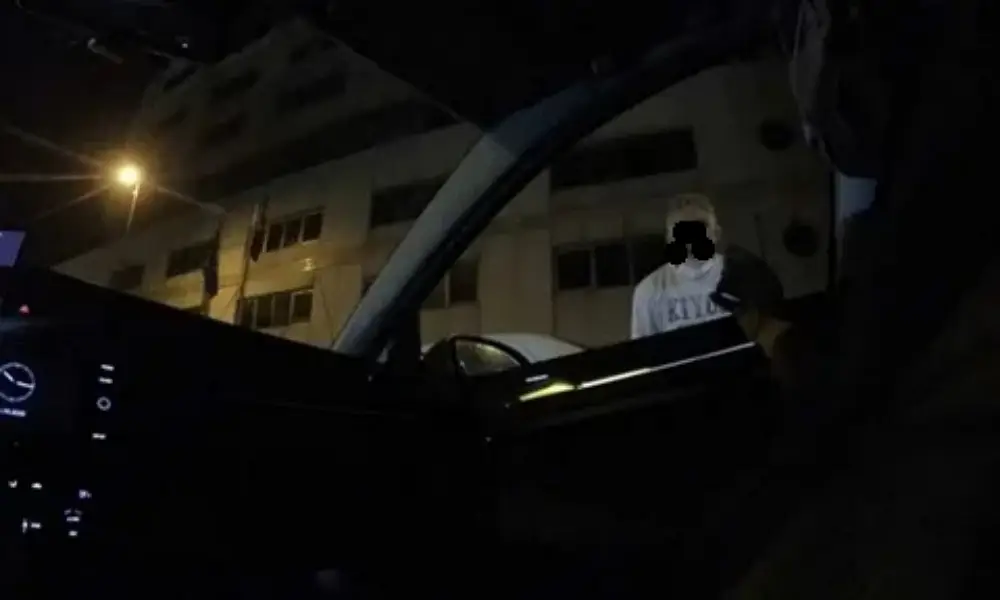 Değnekçilikten Otoparkçılığa Giden Kariyer Basamakları