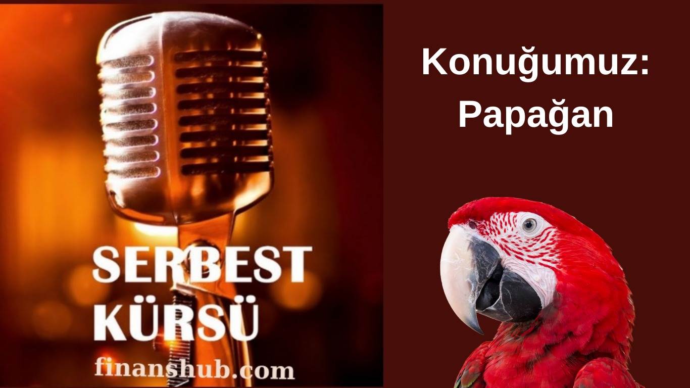 Borsa Cennette mi Olur, Cehennemde mi?