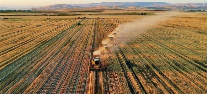 Çiftçilere 5,1 milyar TL destek ödemesi gerçekleştirilecek.
