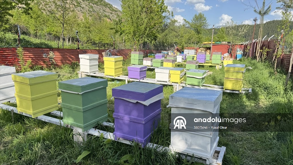 İki kova ile başladığı arıcılıkta bu yıl yaklaşık 1,5 ton bal umuyor.