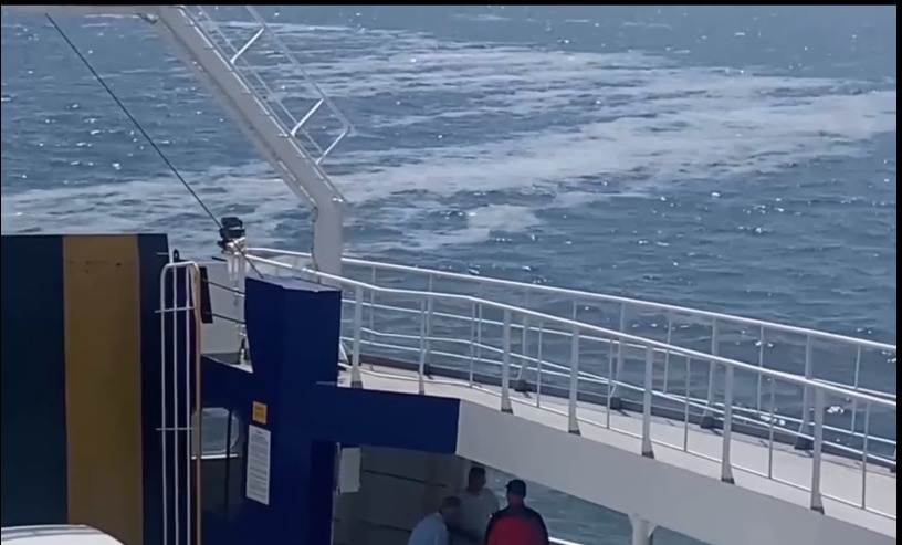 MARMARA DENİZİ’NDE MÜSİLAJ TEHLİKESİ