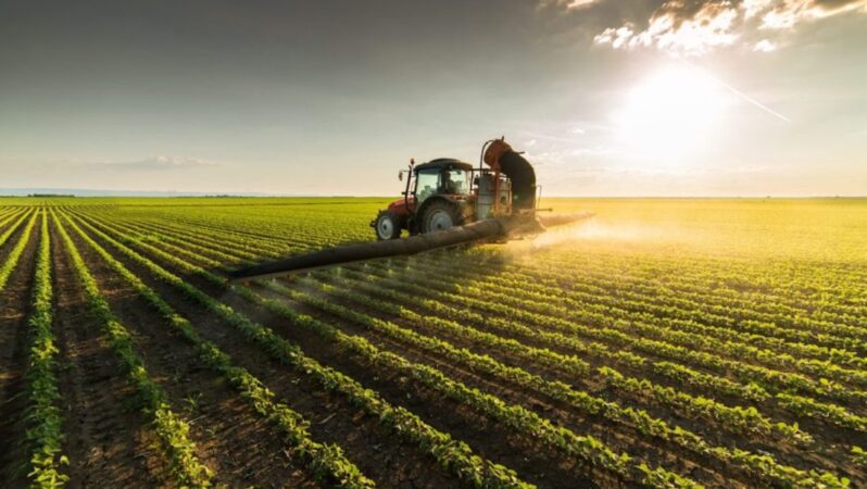 Konyalı Tarım Devi İflas Etti: Alacaklılara Toplantı Çağrısı Yapıldı