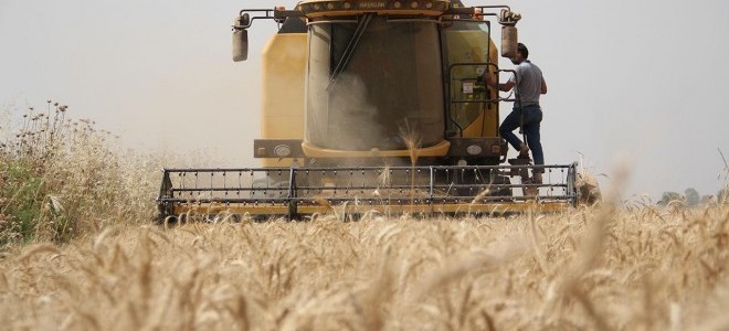 Çiftçiler buğday maliyetini hesaplayıp fiyat beklentisini açıkladı