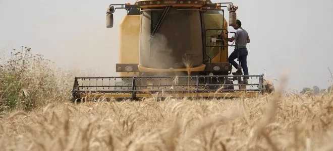 Çiftçiler buğday maliyetini hesaplayıp fiyat beklentisini açıkladı