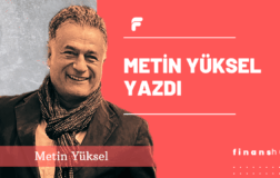 Bir Köpeğin Hikâyesi ve İnsanlığın Bedeli