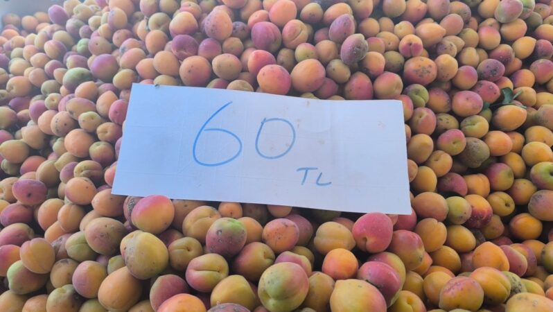 Akaryakıt fiyatlarındaki artış, meyve ve sebze fiyatlarına yansımaya başladı.