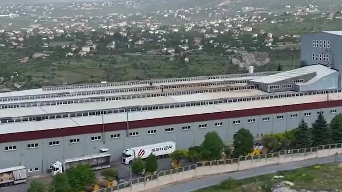 Anadolu devinin satışı başlıyor