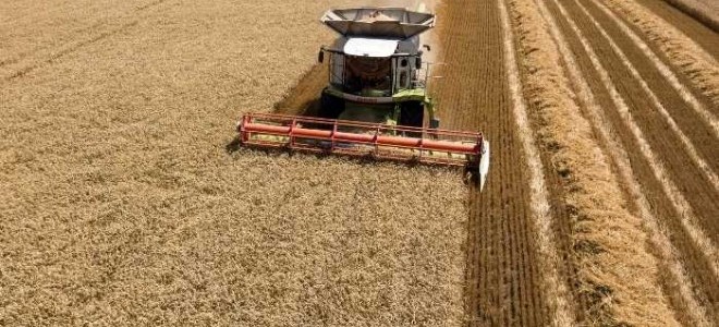 Bu yıl Rusya’nın tahıl hasadı en az 135 milyon ton bekleniyor.