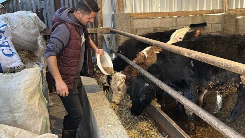 Çiftçi zorda, besici göç ediyor: ‘Bölgesel yerine il bazlı teşvikler gerekti’