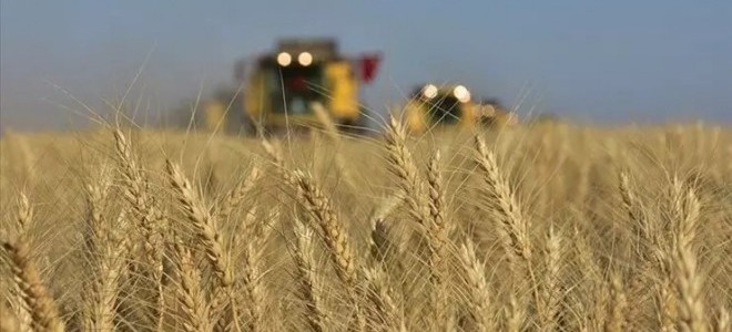 Çiftçiler, hububat satış fiyatlarını inceledi