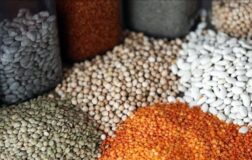 Güneydoğu’dan 5 ayda 1,5 milyar dolarlık tahıl ihracatı