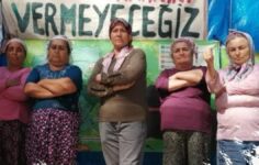 Köylüler, zeytinlik için Ankara’ya yola çıkıyor.