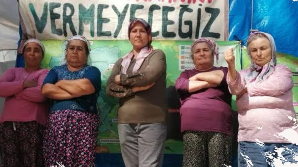 Köylüler, zeytinlik için Ankara’ya yola çıkıyor.