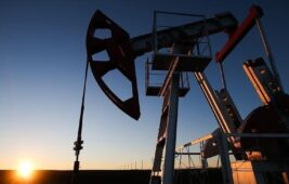 OPEC’ten petrol yorumu: Müdahale yapılacak mı?