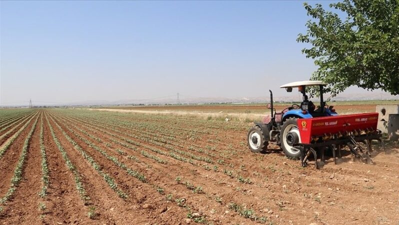 Tarım, gıda ve içecek sektörünün ilk çeyrek ihracatı