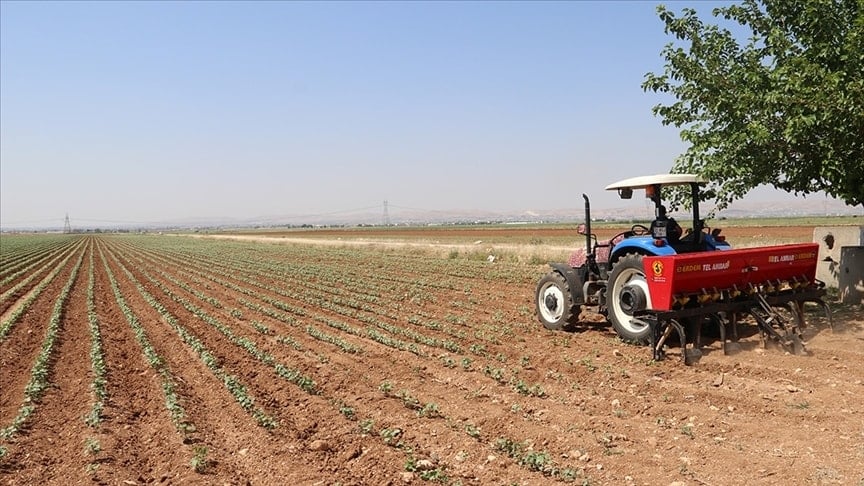 Tarım, gıda ve içecek sektörünün ilk çeyrek ihracatı