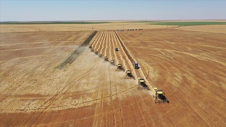 Tarımsal üretimi teşvik amacıyla 10 milyar liralık hibe sağlanacak.