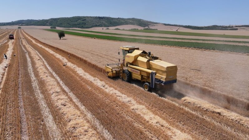 Üreticinin enflasyonu yıllık bazda yüzde 28,96 yükseldi.