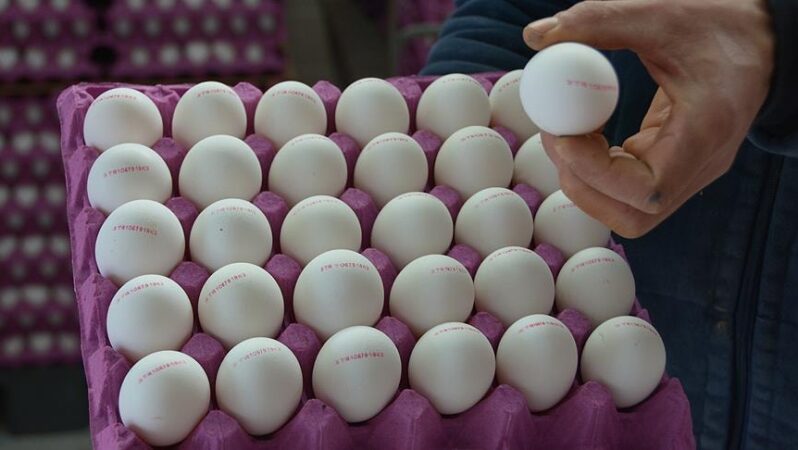 Yumurtada yeni yasak kafa karıştırdı: Fiyatlar alt üst oldu