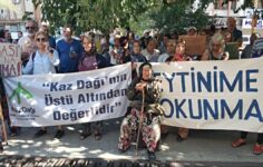 Zeytin köylüsü açlıktan telef olur.
