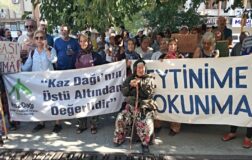 Zeytin köylüsü açlıktan telef olur.