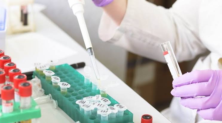 Mezarlıkta Başlayan Miras Mücadelesi: 53 Yıllık Sır Mahkemeye Taşındı