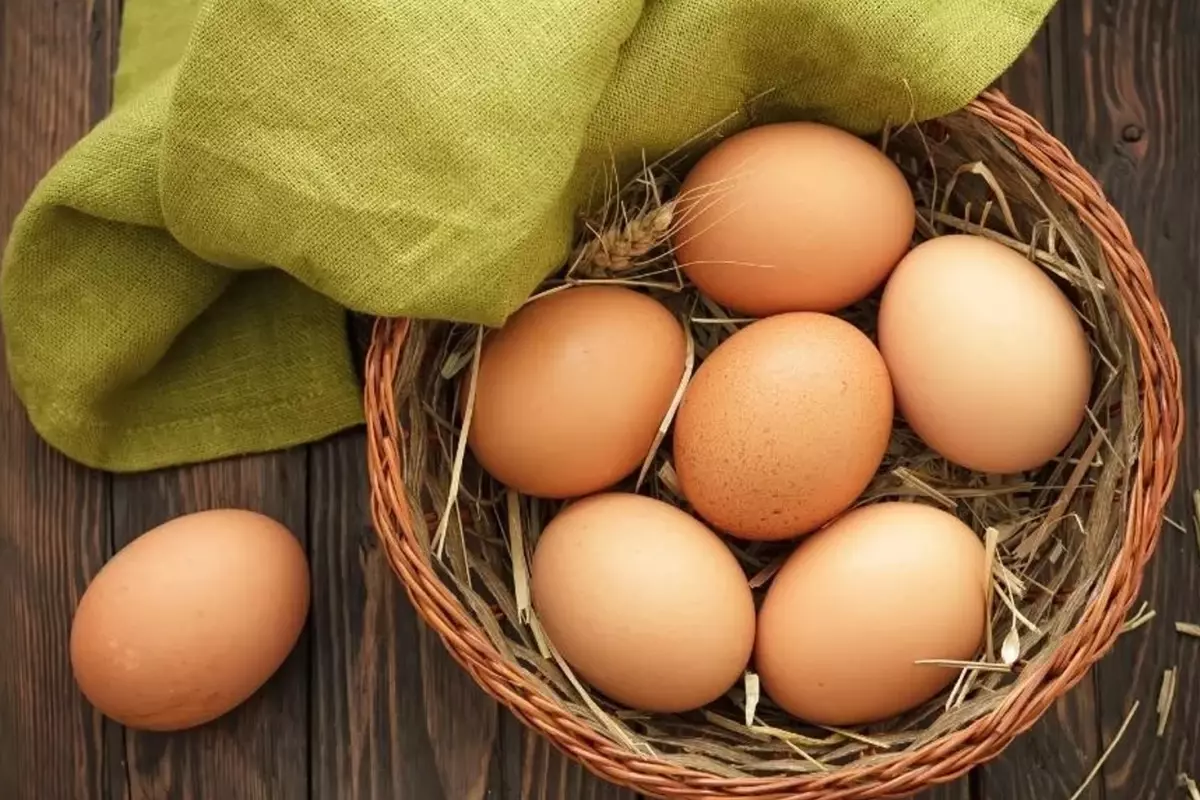 Bakanlık açıkladı: Yumurta ihracatındaki kesinti sona erdi