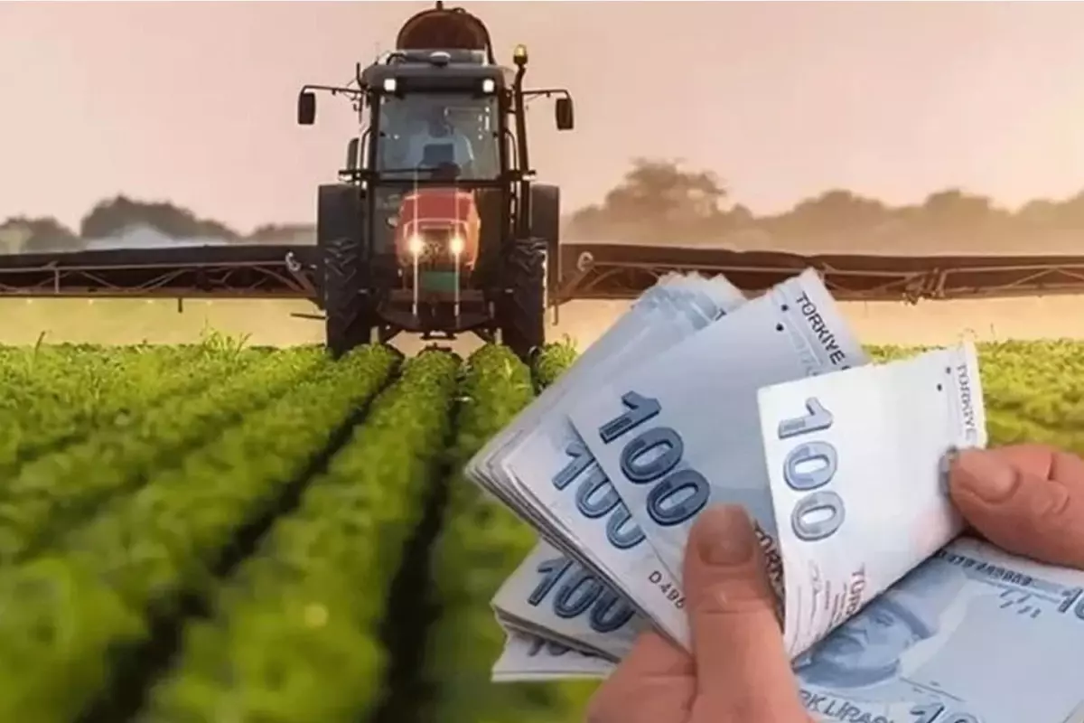 Bakanlıktan tarım için nakit destek: Çiftçilere 826 milyon TL ödendi