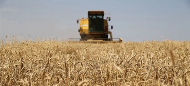Çiftçilere yaklaşık 345 milyon TL destek ödemesi yapılacak