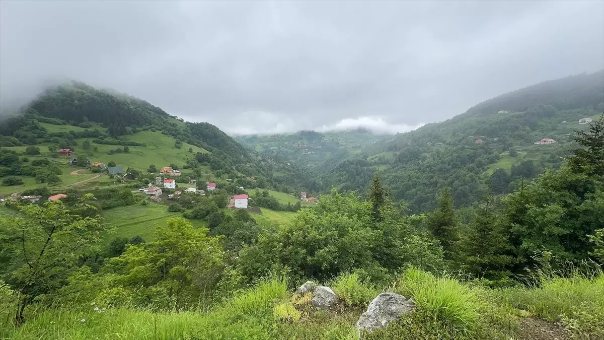 Giresun’daki Turizm Hareketliliğinin Artışı Esnafı Mutlu Ediyor