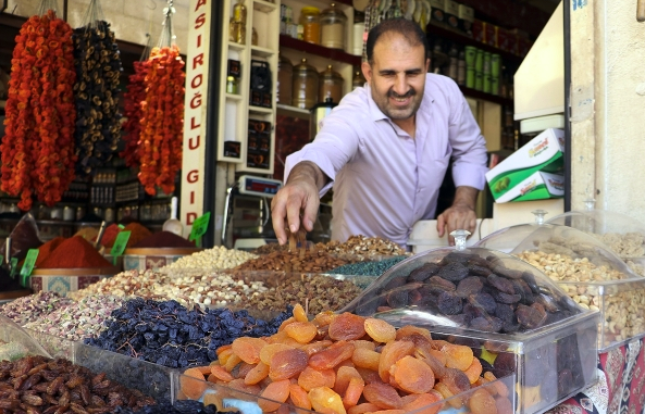 Güneydoğu’dan 6 Ayda 174 Milyon Dolar Kuru Meyve İhracatı
