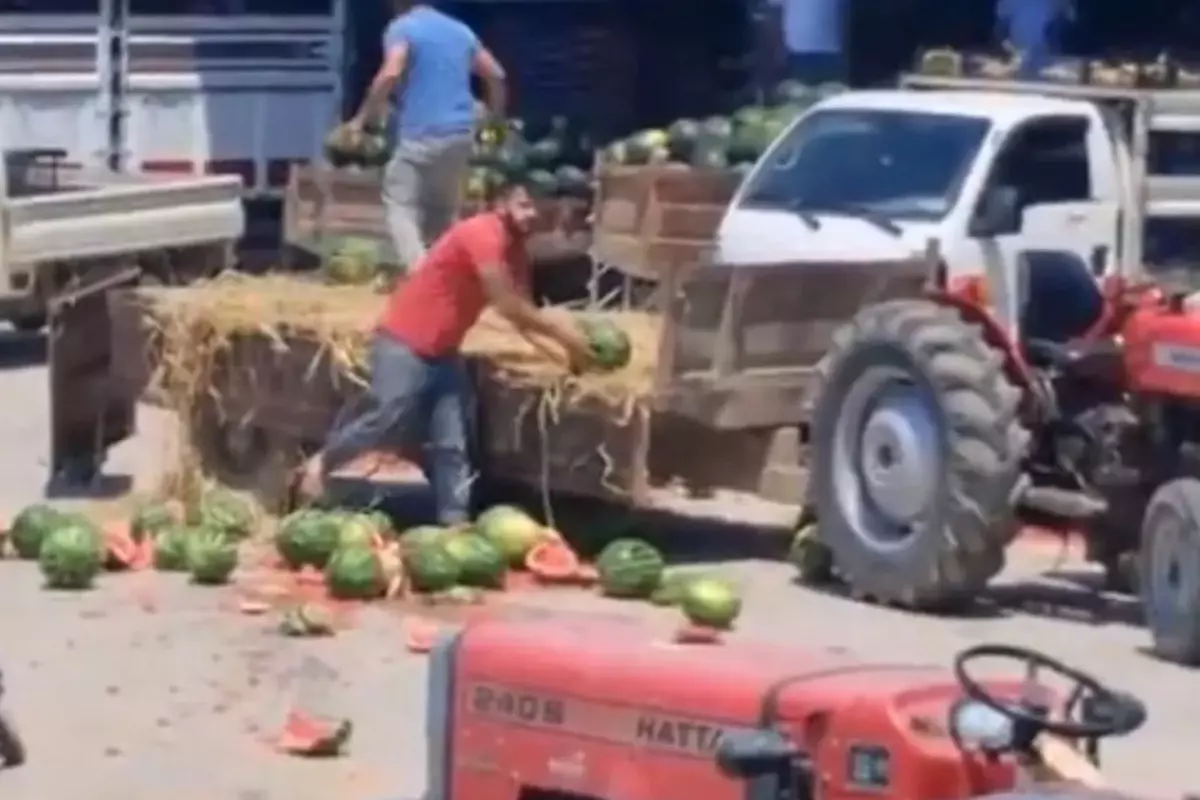 Karpuz parçalayan iki üretici ceza alacak!