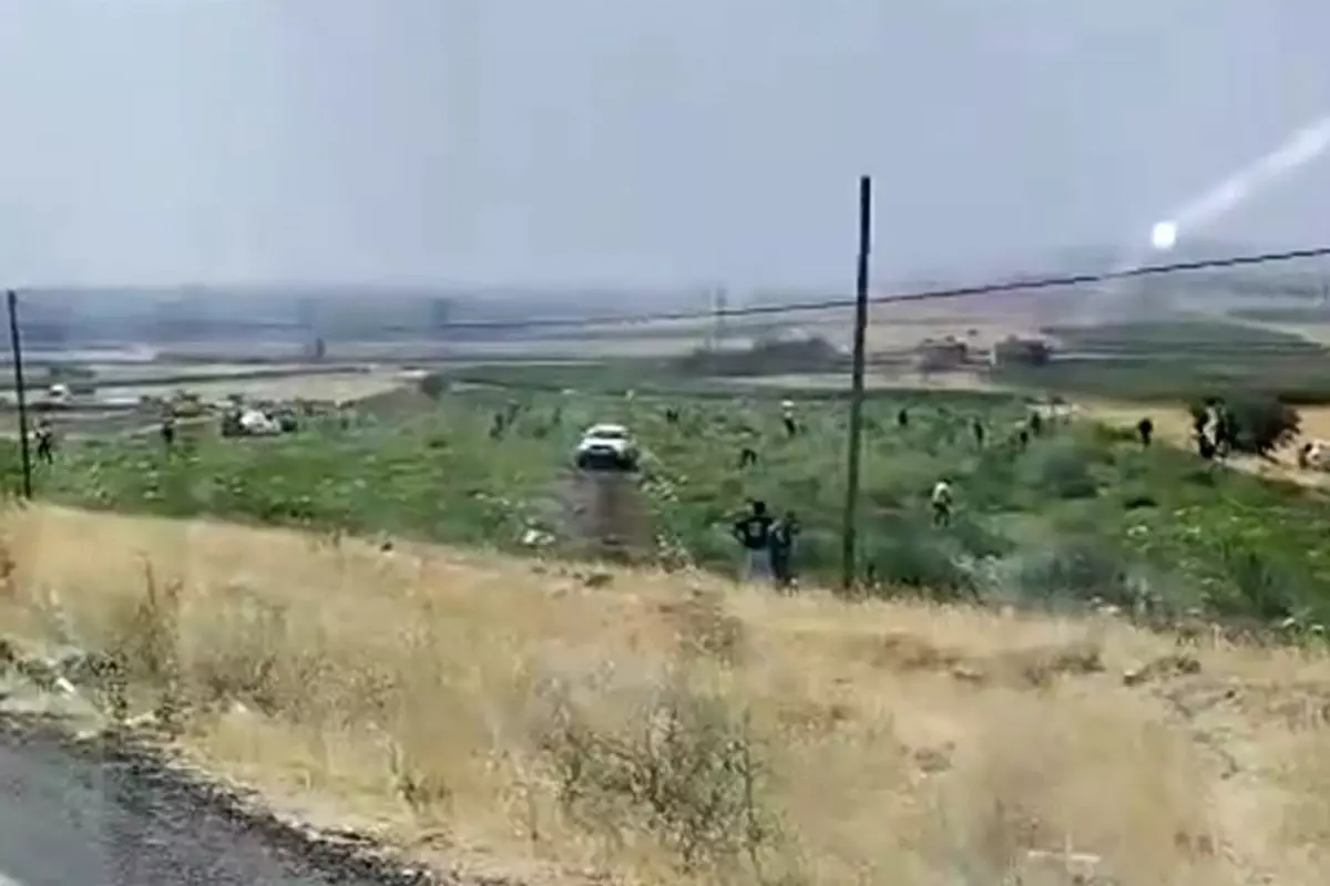 Karpuz tarlası sahibi gördüğü manzara karşısında şoke oldu.