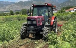 Karpuzun tarladaki döküm fiyatı 10 bin liraya düştü.