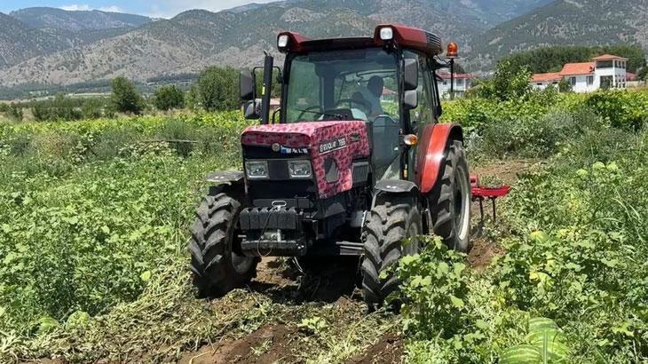 Karpuzun tarladaki döküm fiyatı 10 bin liraya düştü.
