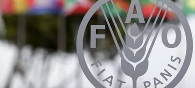 Küresel gıda enflasyonu haziranda yüzde 0,5 yükseldi