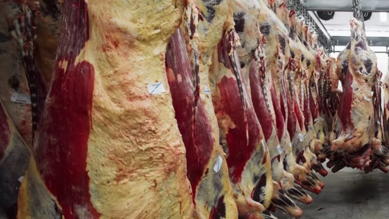 Sektörün en iyilerinden biriydi! 38 yıldır hizmet veren büyük şirket iflas riskiyle karşı karşıya.