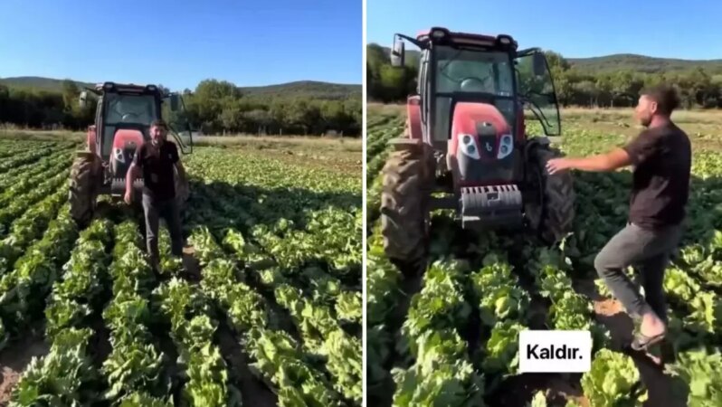 Tarlasındaki ürüne yapılan teklif üreticiyi isyan ettirdi: Market fiyatı 30 TL