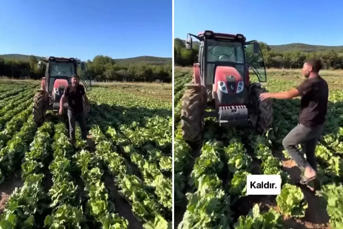 Tarlasındaki ürüne yapılan teklif üreticiyi isyan ettirdi: Market fiyatı 30 TL