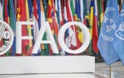 Türkiye, Birleşmiş Milletler’in FAO Konsey Üyeliğine Seçildi
