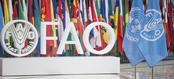 Türkiye, Birleşmiş Milletler’in FAO Konsey Üyeliğine Seçildi